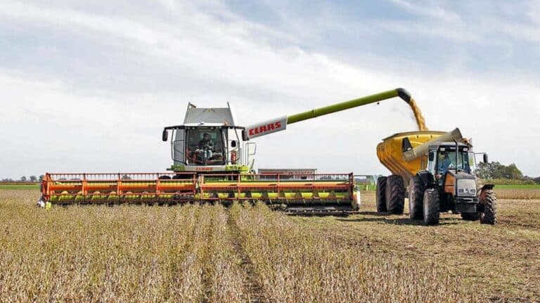 El agro volvió a salvar las papas: las exportaciones crecieron un 17,5% y aportaron más de US$ 22.000 M
