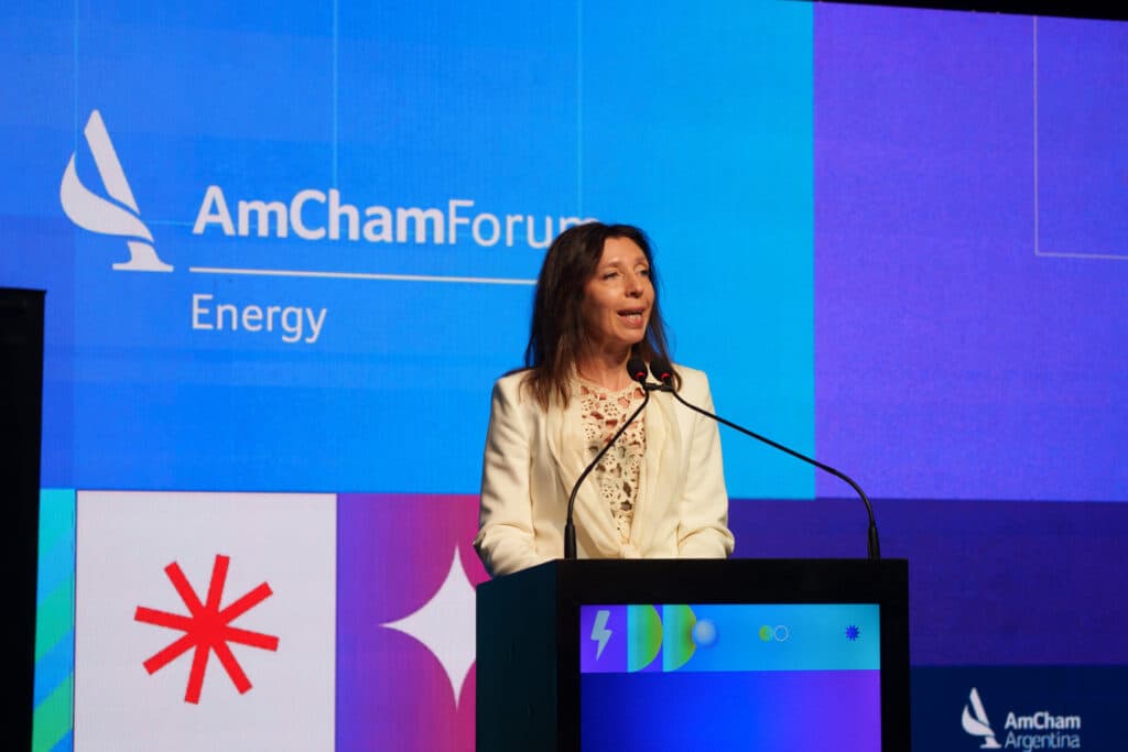 AmCham Energy Forum: los desafíos que plantearon empresarios estadounidenses para el sector energético