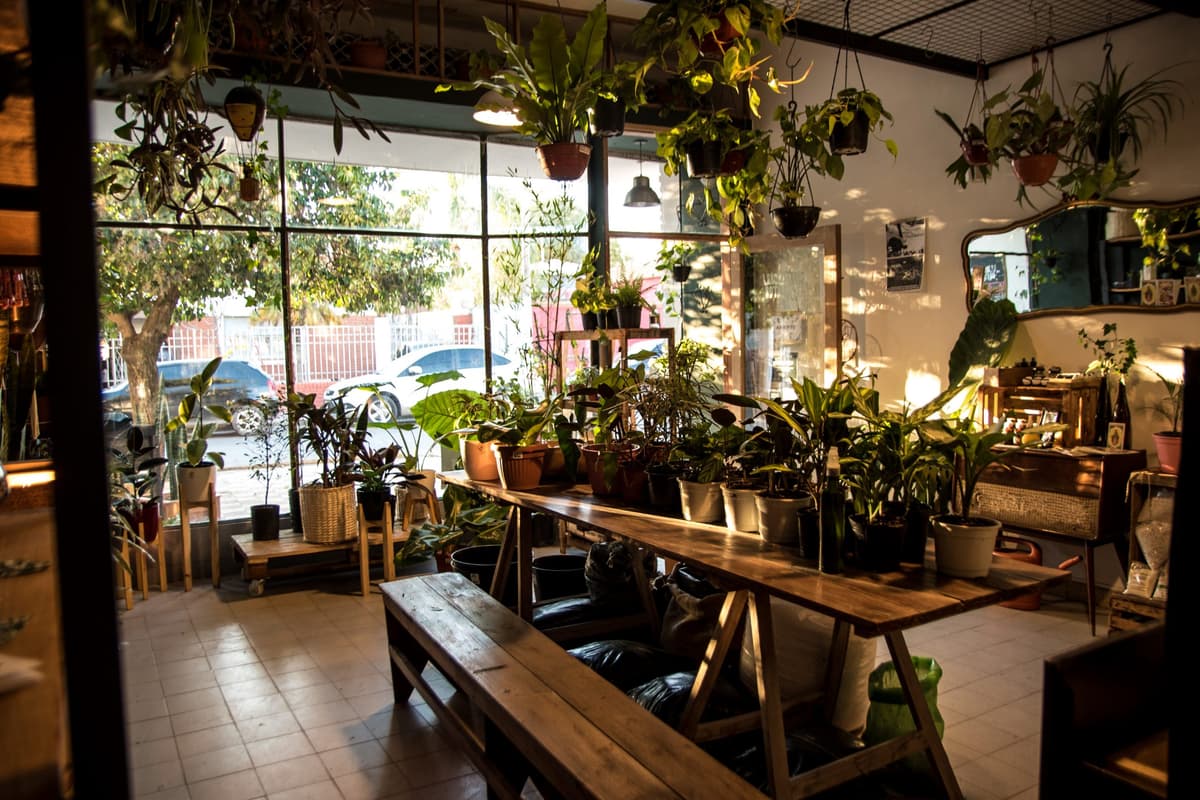 MUNDO VERDE – Laboratorio Botánico, mucho más que un vivero