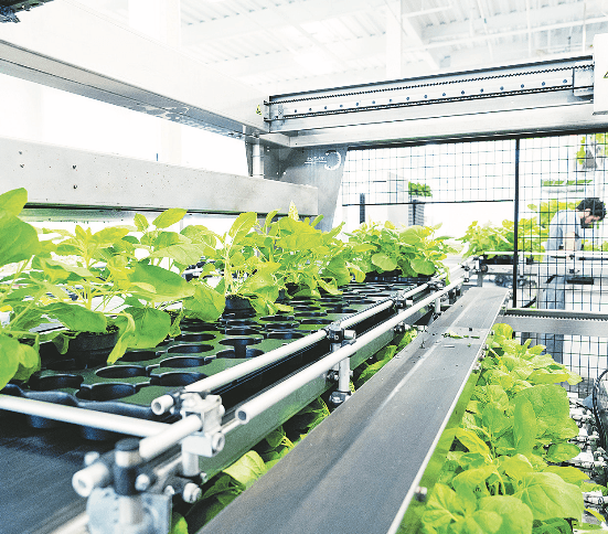 Vacuna vegetal: 600 cordobeses ya se sumaron a la investigación