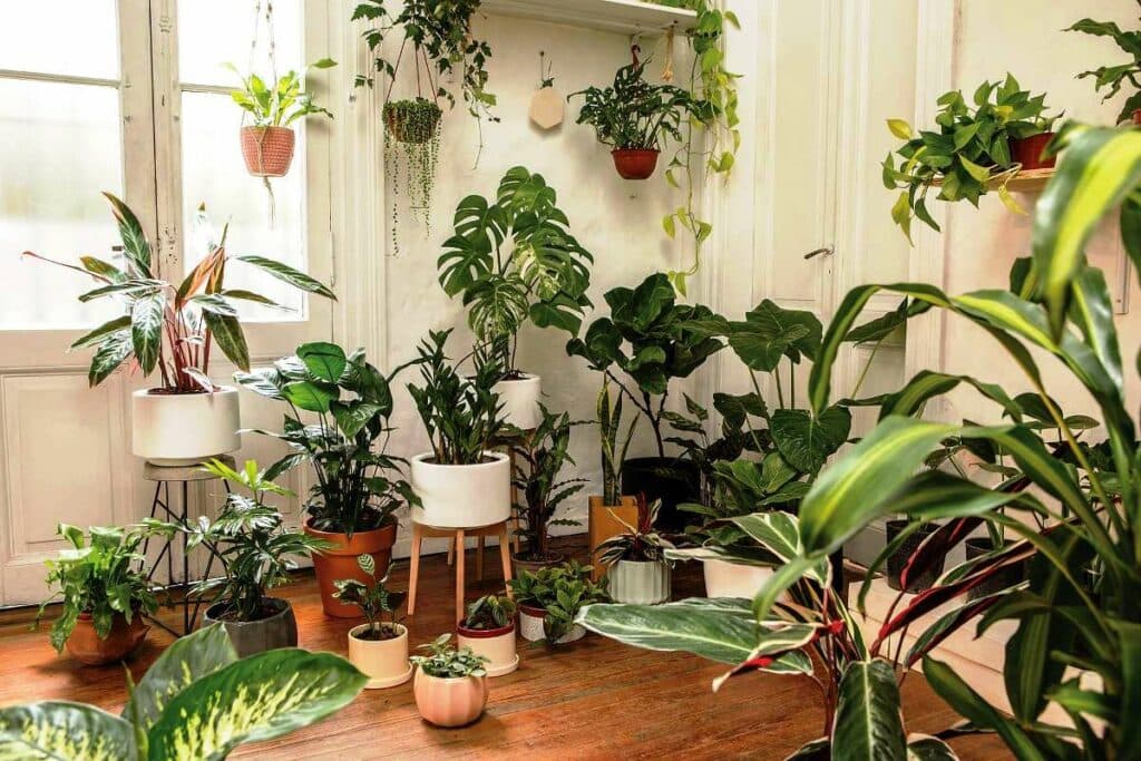 Cómo acondicionar tu hogar para la temporada primavera-verano 2023