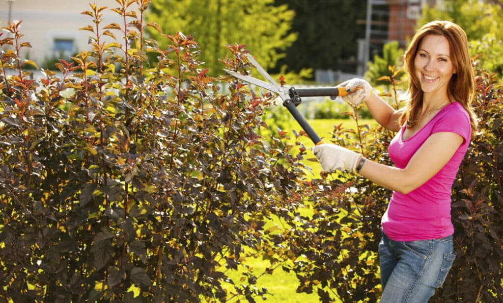 El otoño en jardinería: una invitación a poner manos a la obra