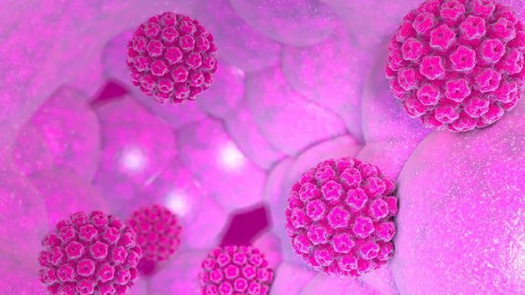 Virus del Papiloma Humano: De qué trata y cómo prevenir