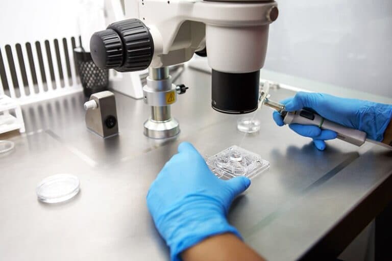 Maternidad(es): desde la empiria, cómo es la fecundación in vitro (FIV)