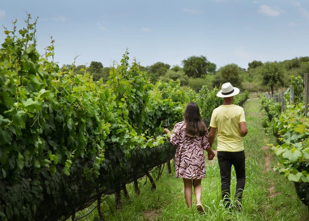 Posada & Bodega La Matilde: descanso, vino y naturaleza en San Javier