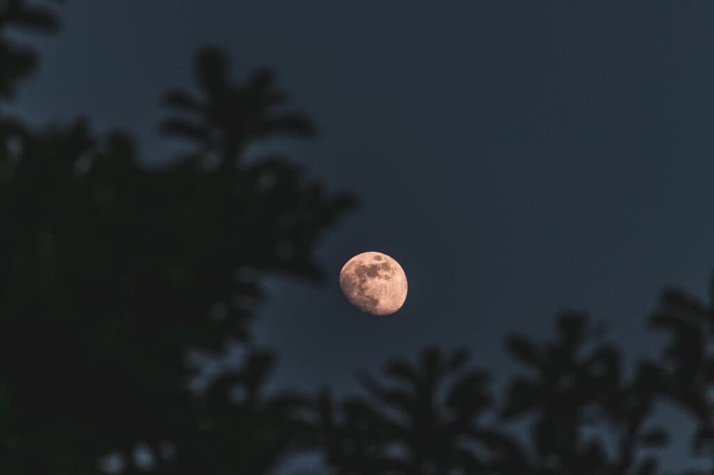 Luna llena en Cáncer: lo que necesitás soltar para empezar el año más liviana