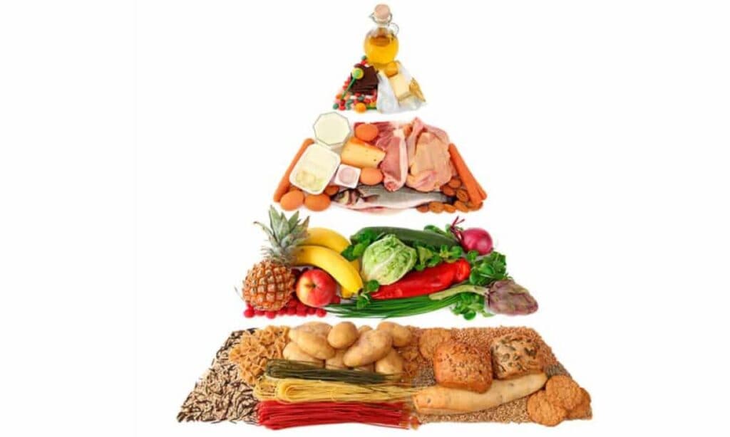 La nueva pirámide alimentaria apuesta a la “comida real” y deja atrás a los ultraprocesados