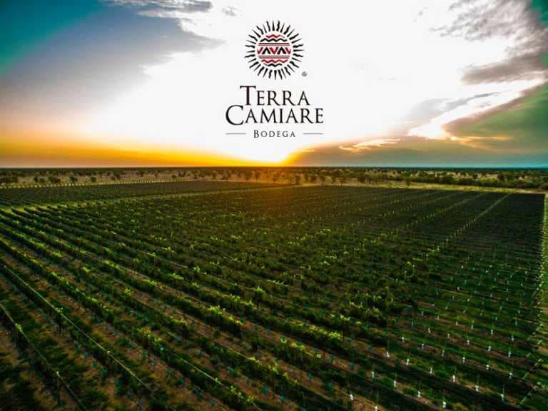 Terra Camiare, excelencia en vinos y enoturismo