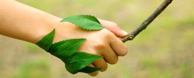 #ECOTIPS – Para que te comprometas con el medioambiente