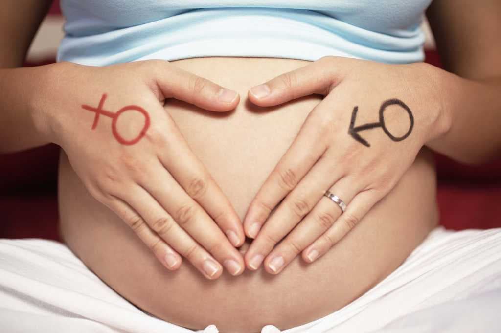 Método Baretta: la fórmula natural de predefinir el género del futuro hijo