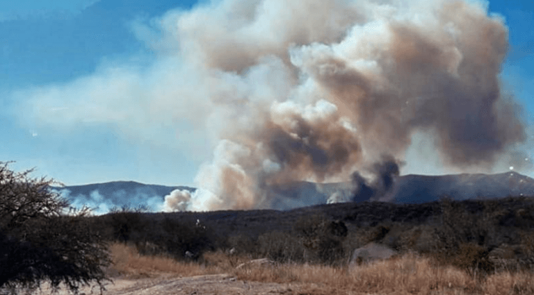 INCENDIOS EN CÓRDOBA, TE CONTAMOS COMO AYUDAR