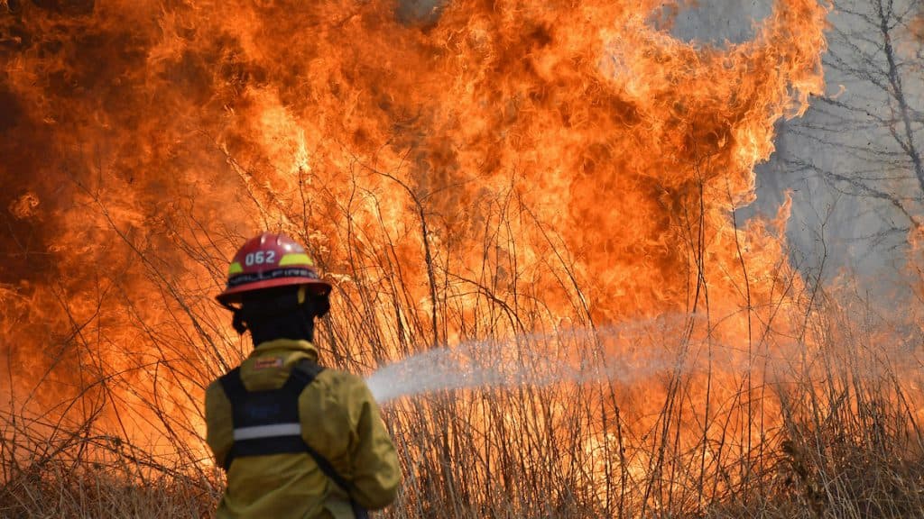 Arde el mundo, arde Córdoba, en el día de la Prevención por los Incendios Forestales