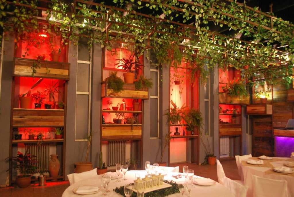 Pinar del Río Eventos: el privilegio de ser únicos