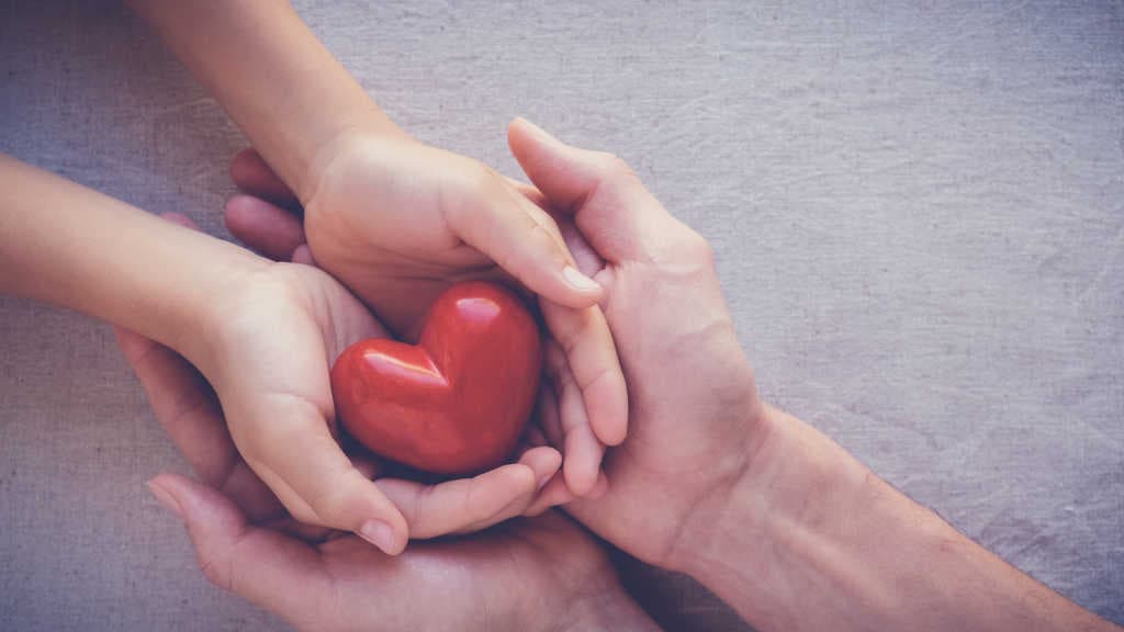 Día Nacional de la donación de órganos